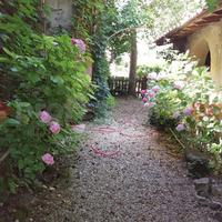 Rustico/Casale/Corte Cavriglia [X031/24CVRG]