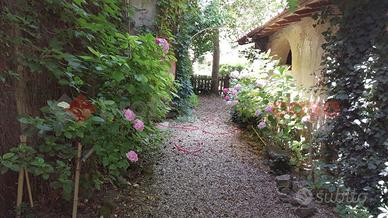 Rustico/Casale/Corte Cavriglia [X031/24CVRG]