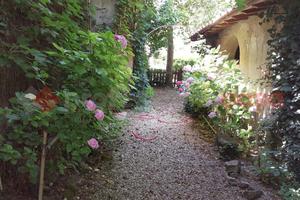 Rustico/Casale/Corte Cavriglia [X031/24CVRG]