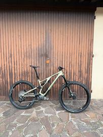 Stumpjumper Evo Expert S4