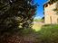 Immagine 15