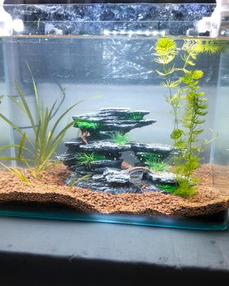 piccolo acquario 