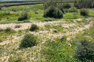 Terreno a Gela in contrada Feudo Nobile