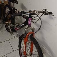 bici x mar raggio 28'