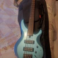 Basso elettrico 5 corde