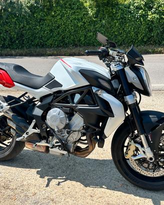 mv agusta brutale 800