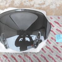 cupolino parabrezza malaguti ciak 125