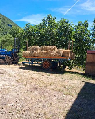 Ballette di fieno