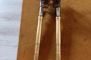 forcella e Triumph Speed triple