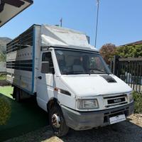 FIAT IVECO TRASPORTO ANIMALI