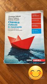 libro scolastico 