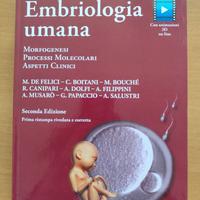 Embriologia umana De Felici