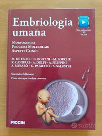 Embriologia umana De Felici