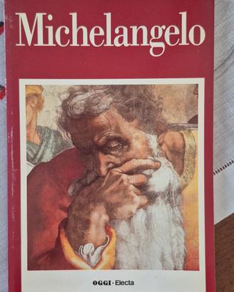 Libro MICHELANGELO – Leonardo Castellucci