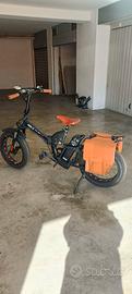 bicicletta elettrica 