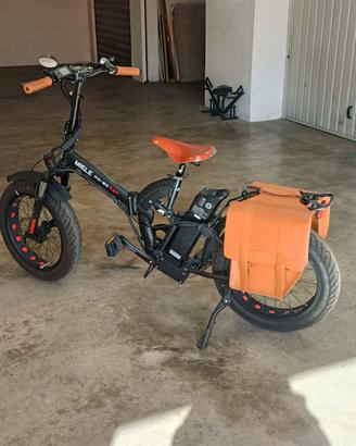 bicicletta elettrica 