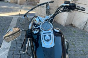 HARLEY DAVIDSON SWITCH BACK
