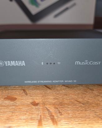 Yamaha WXAD-10 MusicCast - Streamer