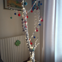 Albero