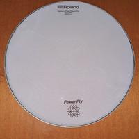 Roland Powerply 22"