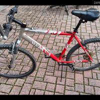 Bici uomo