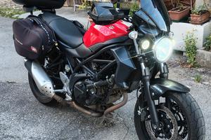 Suzuki SV 650 Abs - 2016