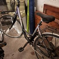 bici da passeggio