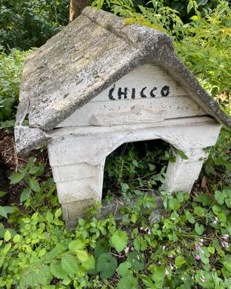 cuccia