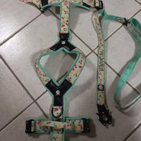 Pettorina taglia media + guinzaglio