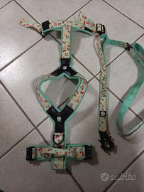 Pettorina taglia media + guinzaglio