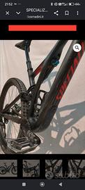 mtb specializzed 