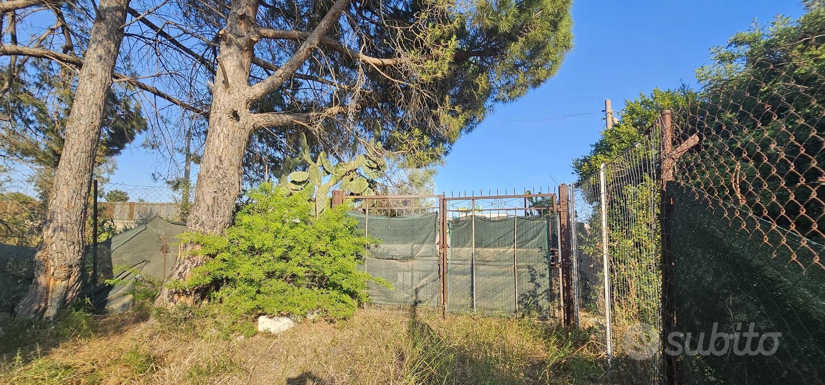 TER. AGRICOLO A QUARTUCCIU - Vista 5