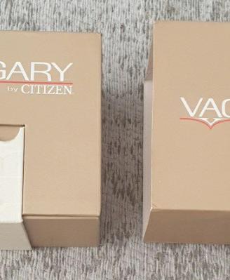 Orologio Vagary by Citizen