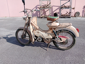 Motorino Motom 48