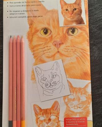 SET CORSO DA DISEGNO