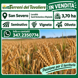 TERRENO AGRICOLO MISTO  – SAN SEVERO