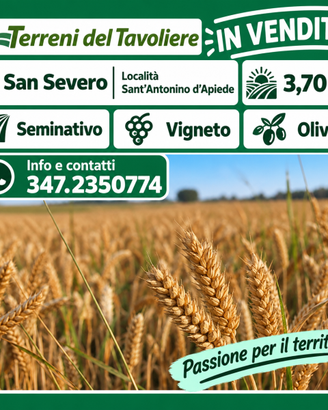 TERRENO AGRICOLO MISTO  – SAN SEVERO