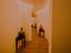 Immagine 18