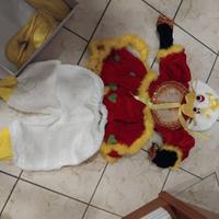 Costume per carnevale  da bimba