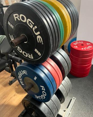 Attrezzatura Rogue box Crossfit