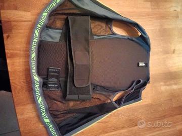 Paraschina sci jr Alpina