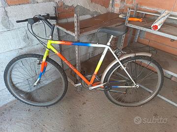 bicicletta