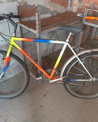bicicletta
