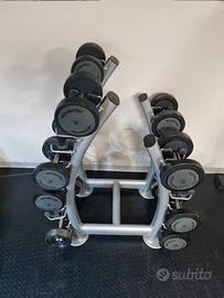 Set manubri Technogym + rastrelliera