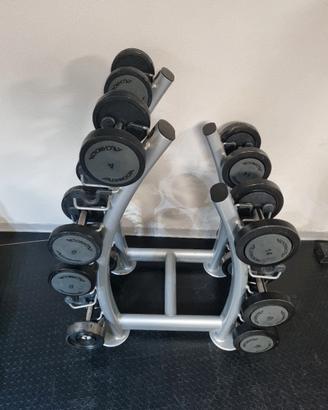 Set manubri Technogym + rastrelliera