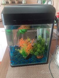 Acquario blu bios Billy 16