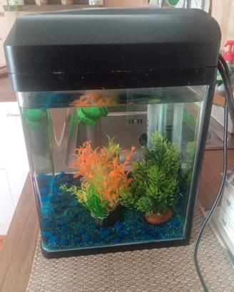 Acquario blu bios Billy 16