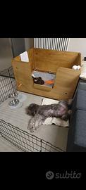 Box cassa parto cani T S/M