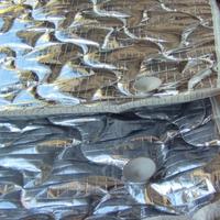 KIT OSCURANTI TERMICI INTERNI PER FORD TRANSIT