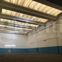 Capannone Industriale Gessate